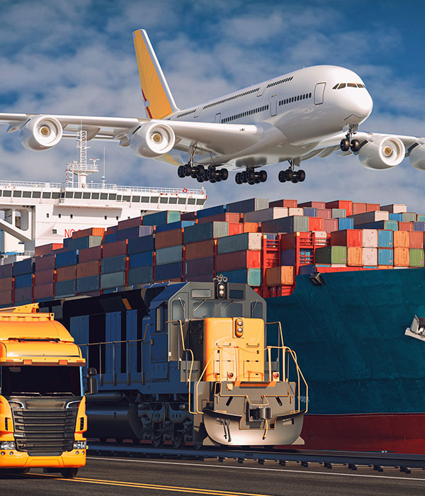 Customs officer inspecting an import consignment before release